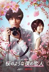 Love Like the Falling Petals (Efímera como la sakura) (2022) DVDrip
