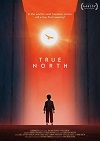 True North (2020) DVDrip