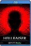 Hellraiser (2022) HD 720p