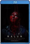 Malum (2023) HD 720p