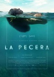 La pecera (2023) DVDrip Latino