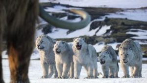 Capítulo 8: La Edad de Hielo y Fuego