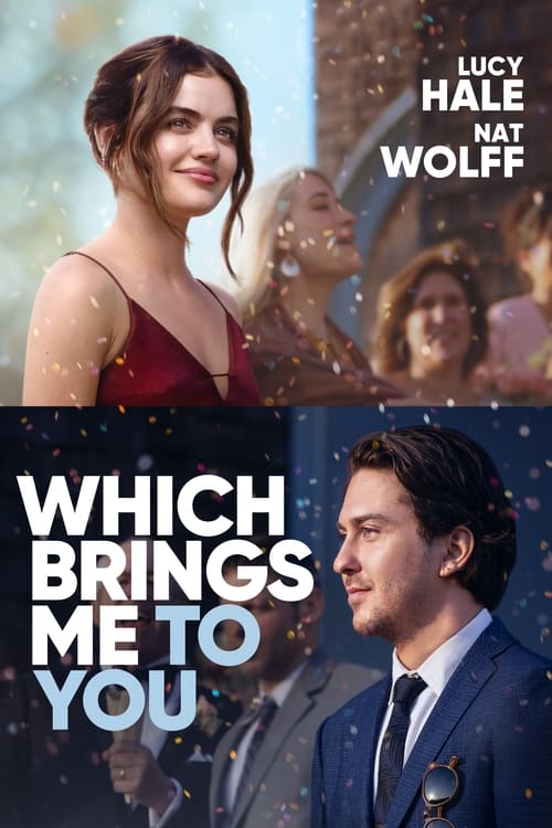 Which Brings Me to You 2024 DVDrip Latino