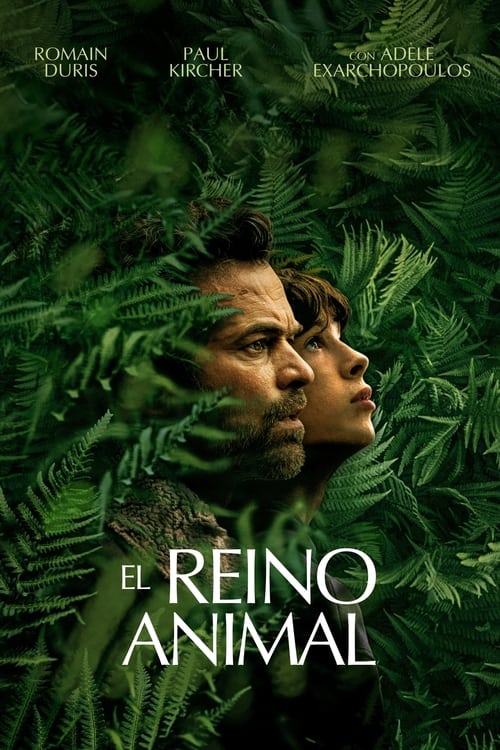 El reino animal 2023 DVDrip y 720p Castellano
