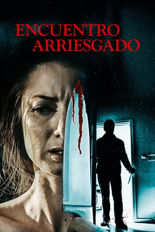 Encuentro arriesgado 2021 DVDrip y 720p Sub