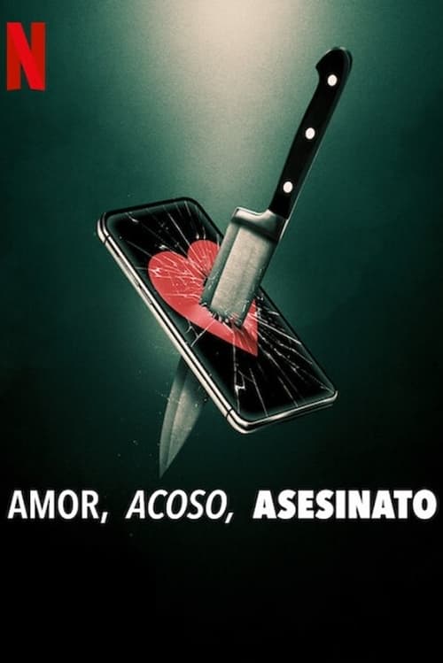 Amor, acoso, asesinato 2024 DVDrip Castellano