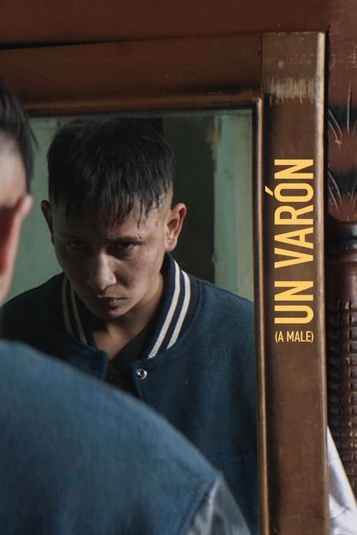Un varón 2023 DVDrip Latino