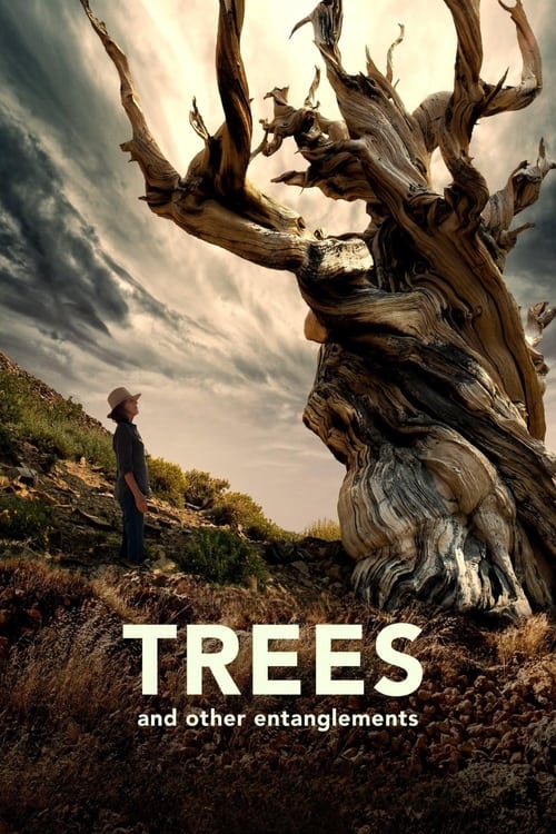 Árboles y otros enredos 2023 DVDrip Castellano