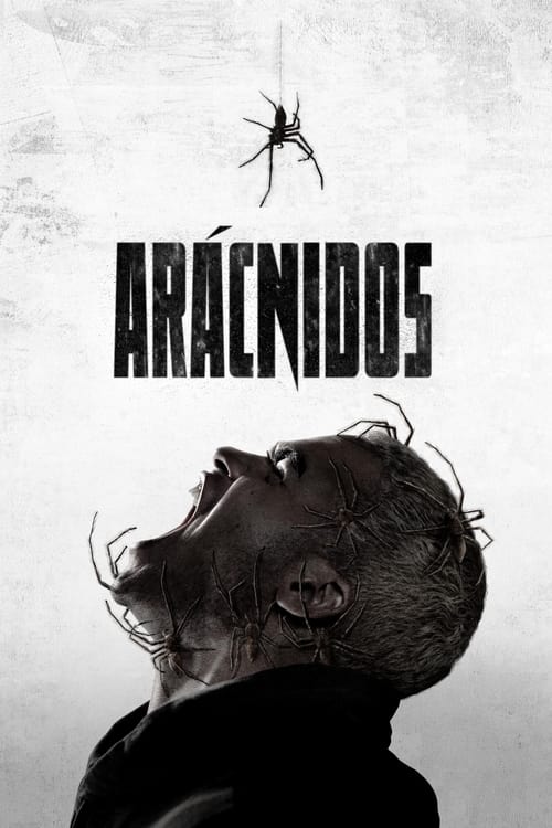Arácnidos 2023 DVDrip Latino