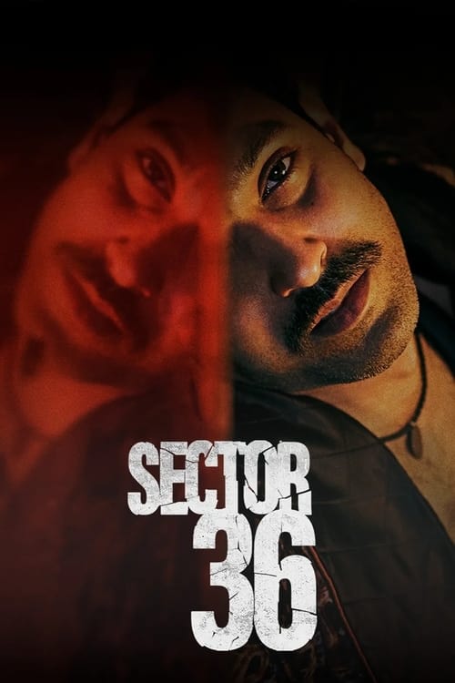 Sector 36 2024 DVDrip Latino