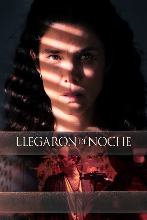 Llegaron de noche 2022 DVDrip Latino