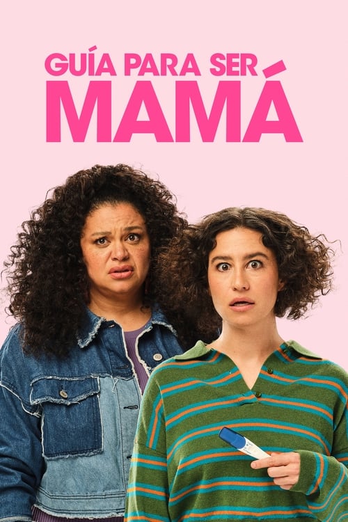 Guia Para Ser Mamá 2024 HD 720p Latino
