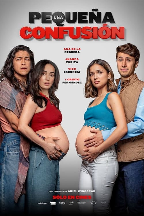 Una pequeña confusión 2024 HD 720 Latino