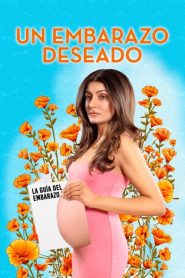 Un embarazo deseado 2022 HD 1080p