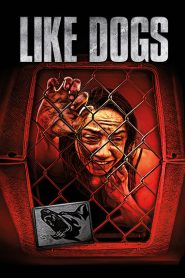 Like Dogs 2021 HD 1080p Castellano
