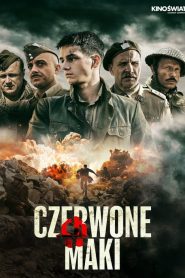 La batalla de Montecassino 2024 HD 1080p Castellano