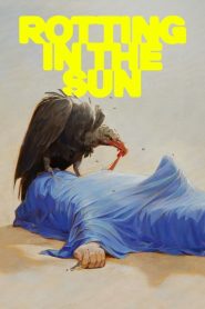 Rotting in the Sun 2023 HD 1080p Latino