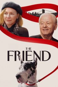 The Friend 2025 HD 1080p y 720p Latino mp4