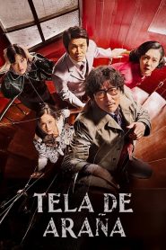 Tela de araña 2023 HD 1080p Castellano