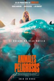Animales Peligrosos 2025 HD 1080p y 720p Latino