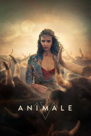Animale 2024 HD 1080p