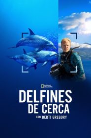Delfines en primer plano con Bertie Gregory 2025 HD 1080p Latino