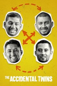 Hermanos por accidente 2024 HD 1080p Latino