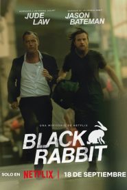 Black Rabbit 2025 HD 720p Latino Temporada 1