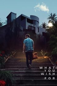 What You Wish For 2024 HD 1080p Latino