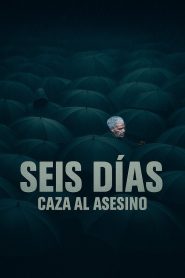 Seis días: Caza al asesino 2024 HD 1080p
