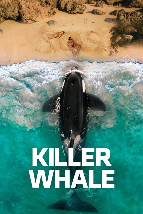 Killer Whale 2026 HD 720p