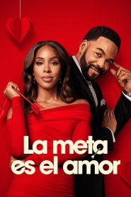 La meta es el amor 2026 HD 720p Latino
