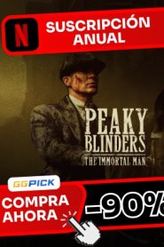 Netflix Premium – Subscriptions 4K Ultra HD no ads (12 meses)