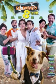 El paseo 8 2025 HD 720p Latino