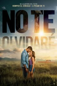 No te olvidaré 2026 HD 720p Latino