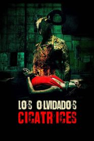 Los olvidados: Cicatrices 2023 HD 720p Latino