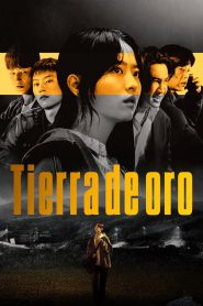 Tierra de oro 2026 Series HD 720p Latino
