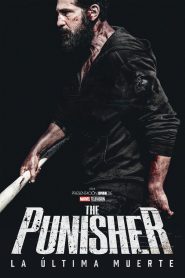 The Punisher: La última muerte 2026 HD 720p Larino