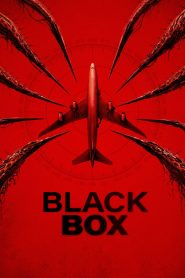 Black Box (Flight 298) 2026 HD 720p