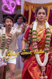 Amor, amor, boda 2026 HD 720p Latino