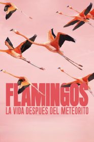 Flamingos: La vida después del meteorito 2026 HD 720p Latino