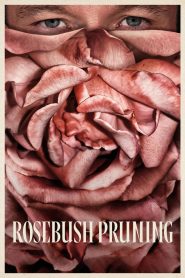 Rosebush Pruning 2026 HD 720p Castellano