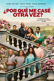 ¿Por qué me casé otra vez? 2026 HD 720p Latino