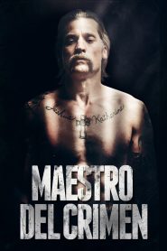 Maestro del crimen 2017 HD 720p Latino